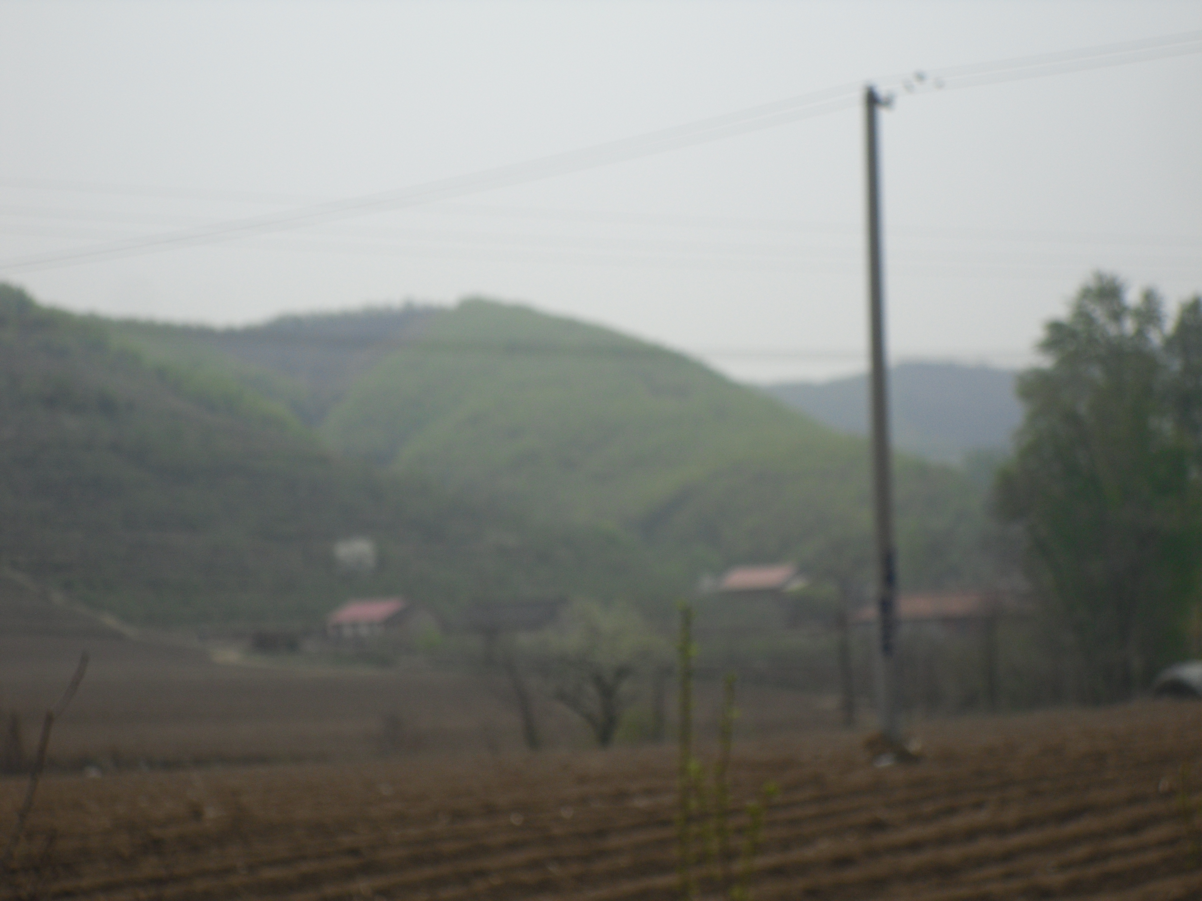 5̖ �����в���(zh��n)������ɽ���а���(qu��n)