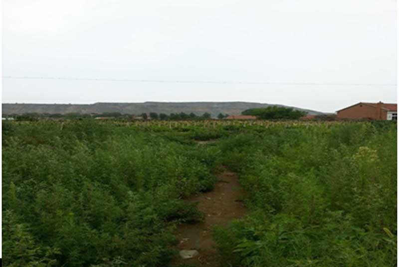 31̖ ��ɽ��ǧɽ�^(q��)�Ƽҷ��(zh��n)�W(xu��)����C(j��)������ʹ�Ù�(qu��n)